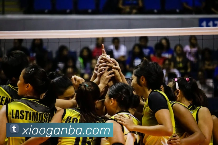 nba投注网站发展历程